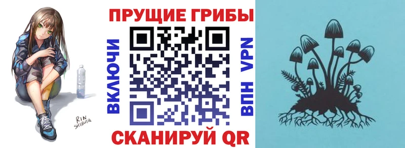 Купить закладки Пошехонье Галлюциногенные грибы мухоморы