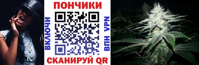 Бошки Шишки SATIVA & INDICA  Купить закладки  Пошехонье 